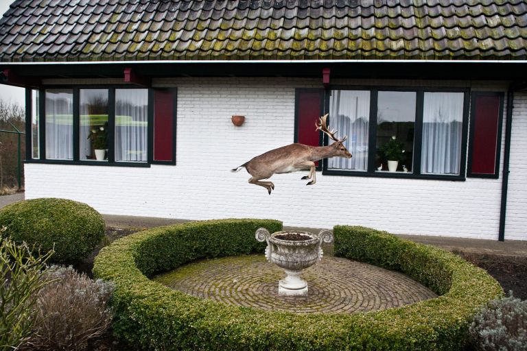 Zilveren Camera 2011