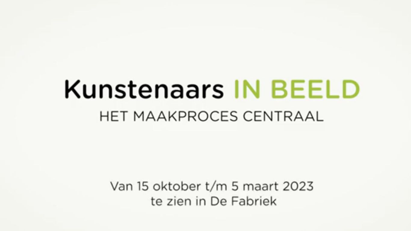 Compilatie kunstenaarsportretten IN BEELD